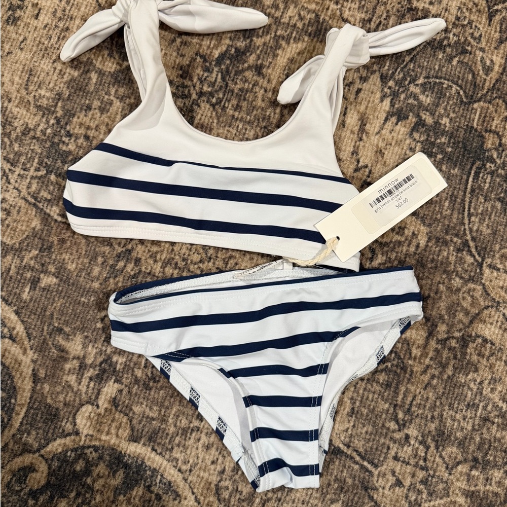 Minnow Swim